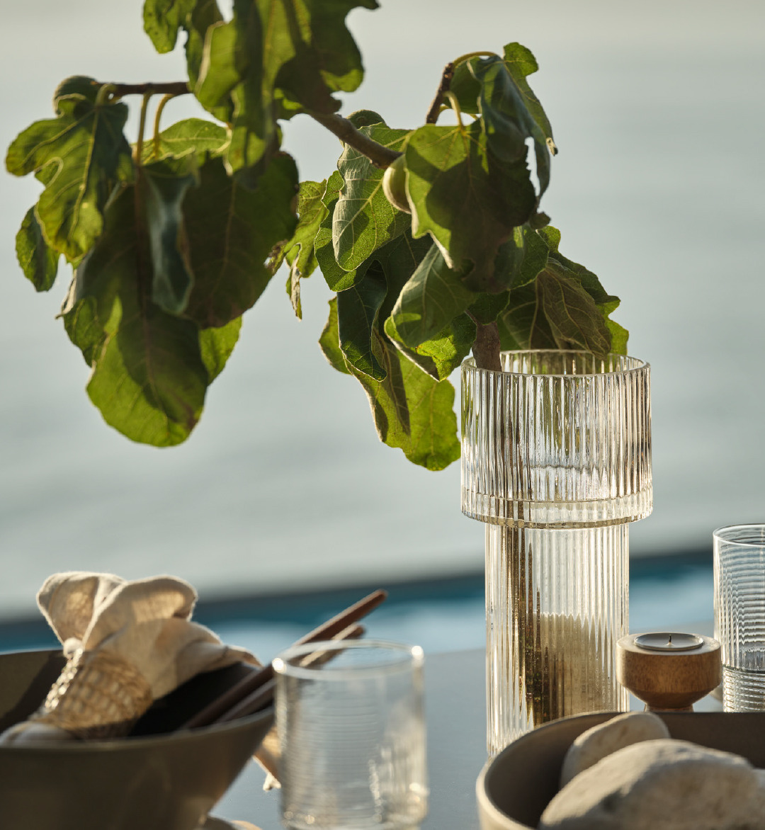 Vaso con piante sul tavolo circondato da molti accessori decorativi
