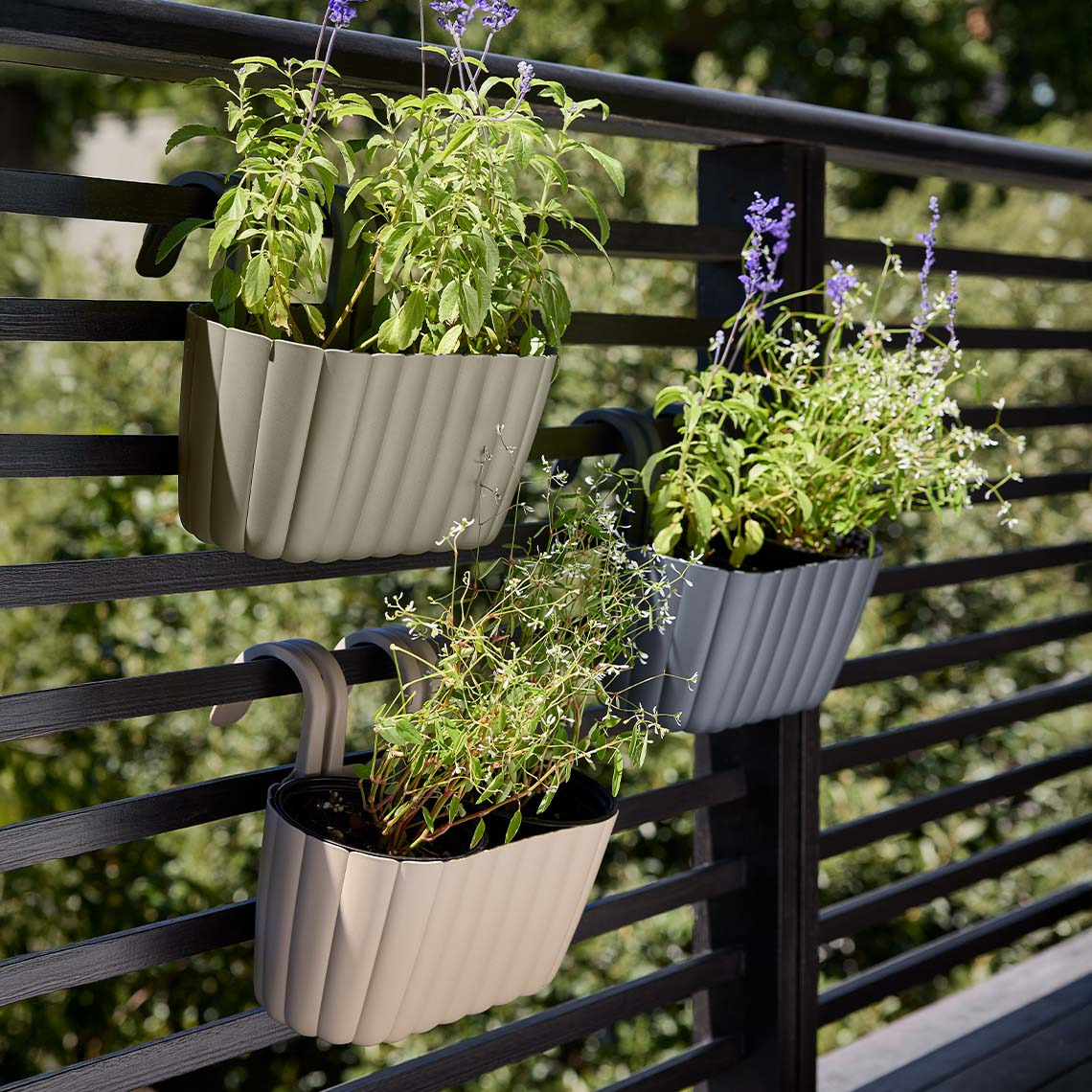 Balconnières BUKSEBIE Balconnières suspendues avec des plantes vertes