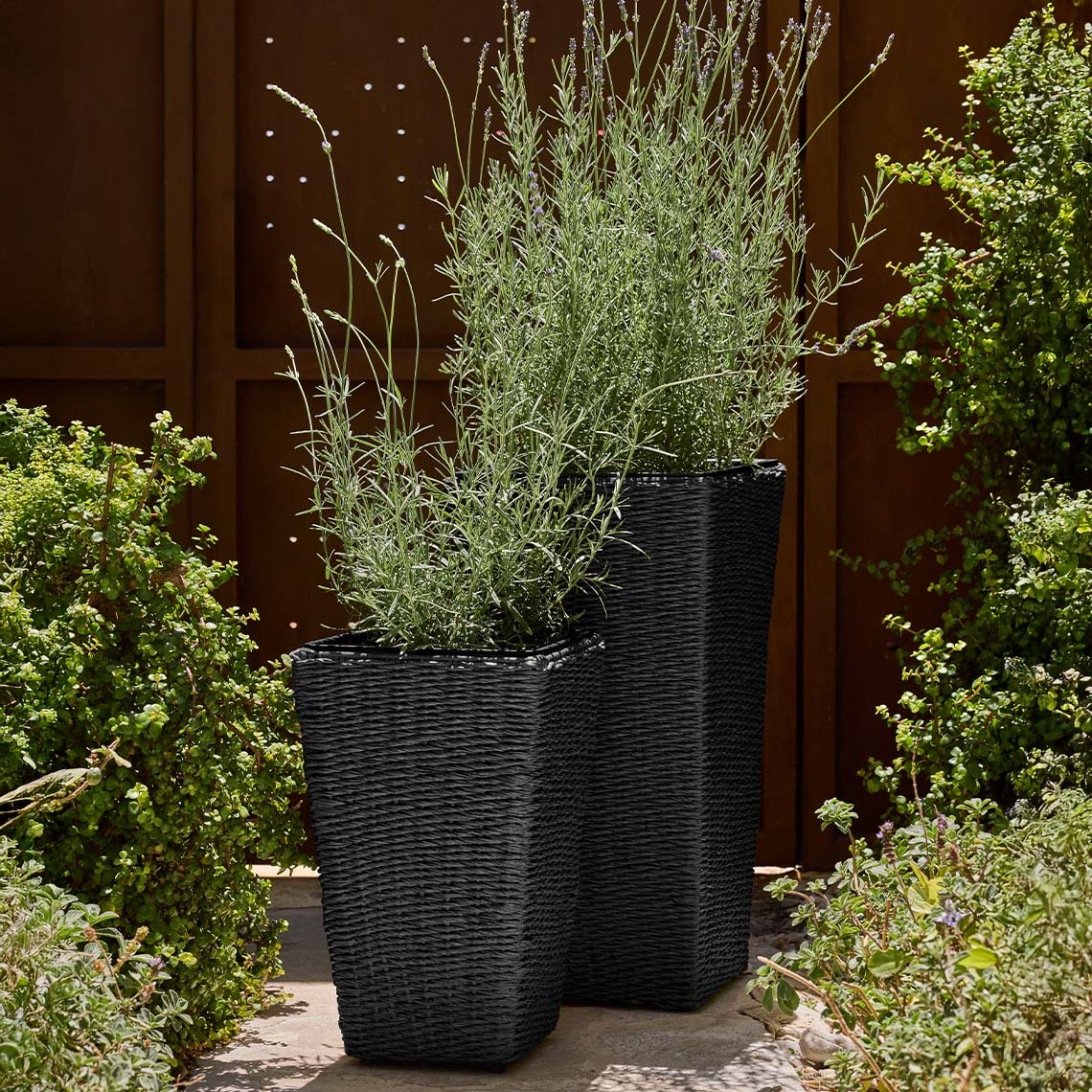 Paniers pour plantes KUBB en deux tailles Grands paniers pour plantes en polyrotin noir
